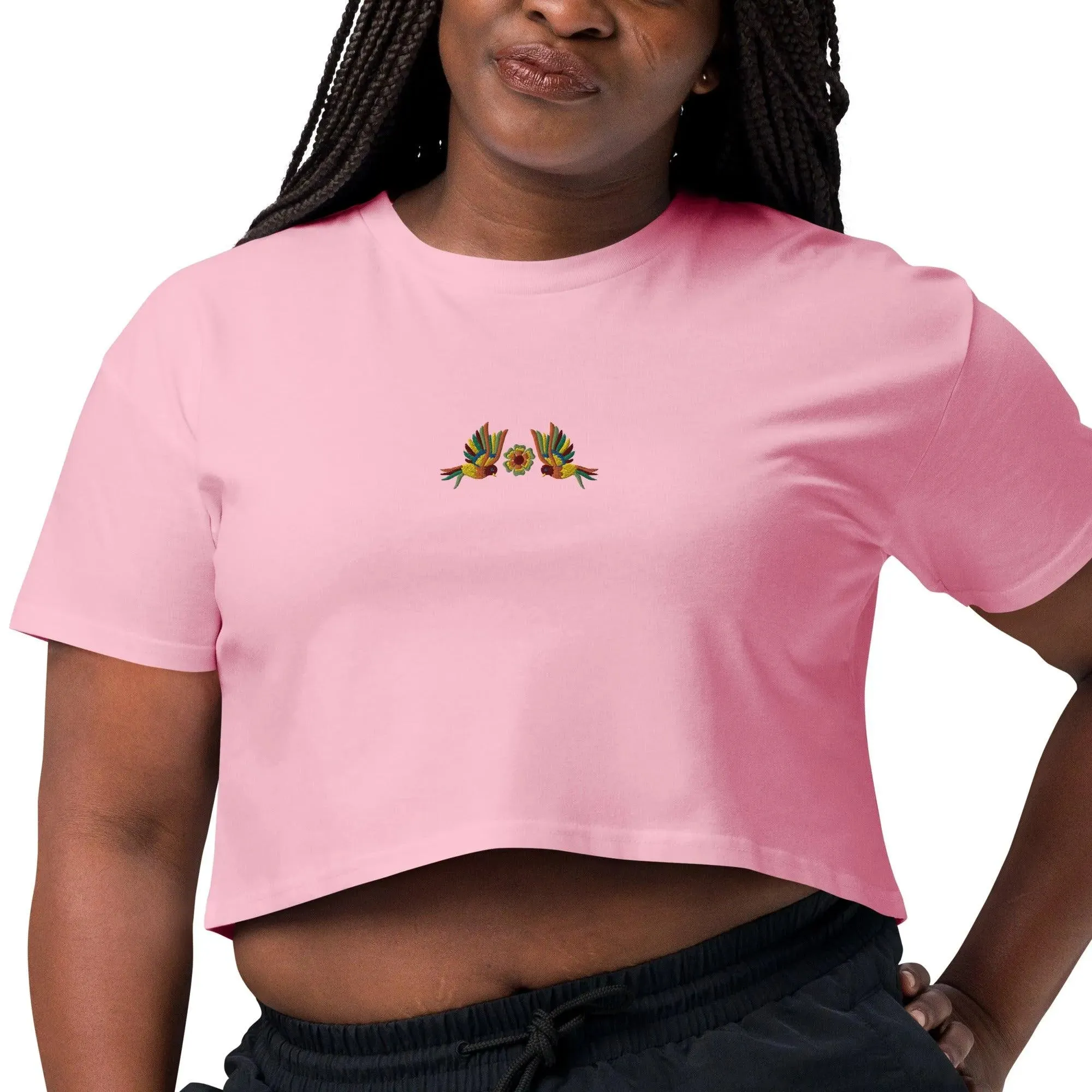 Mexican Otomi Embroidered Cropped T-Shirt